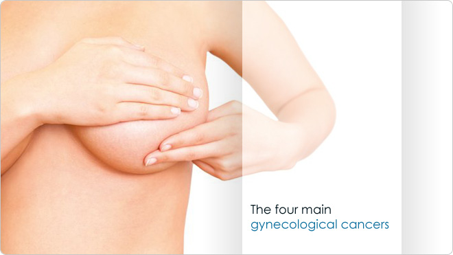 The four main gynecological cancers